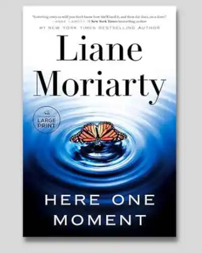 Here One Moment Book review